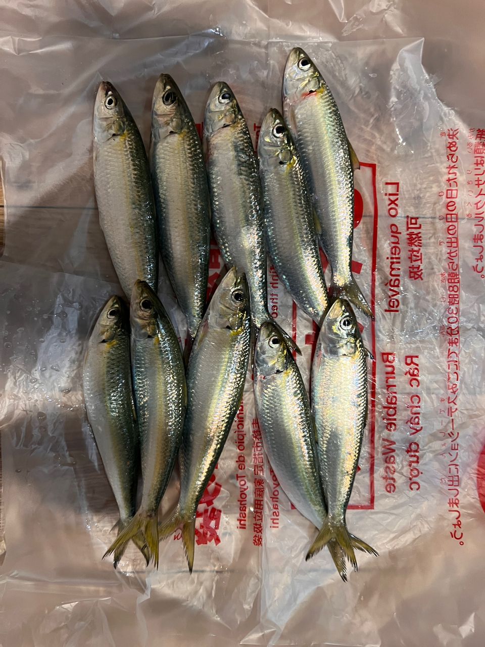サッパ