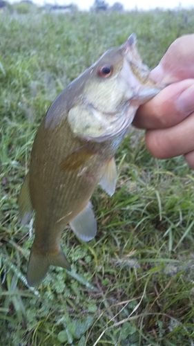 秋ヶ瀬公園