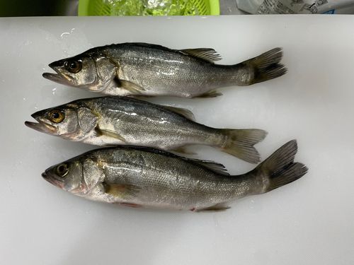 長浦沖