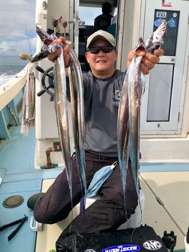タチウオの釣果