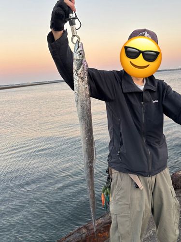 タチウオの釣果