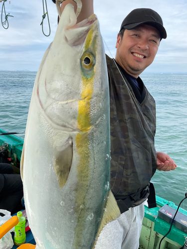 メジロの釣果