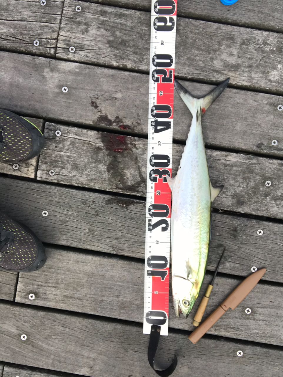 DAIWA 22ショアジギング X 96Hの最安値・インプレ・釣果 | 本音の