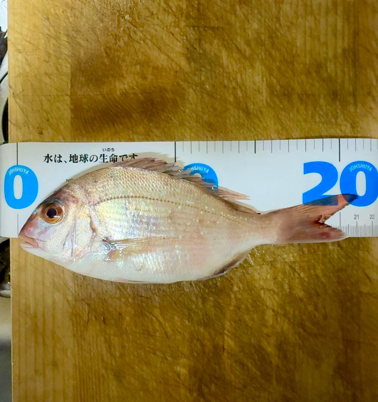タイ