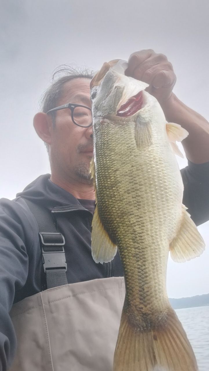 ブラックバス