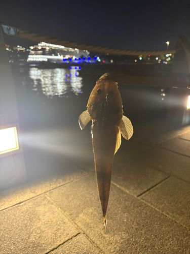 長崎湾
