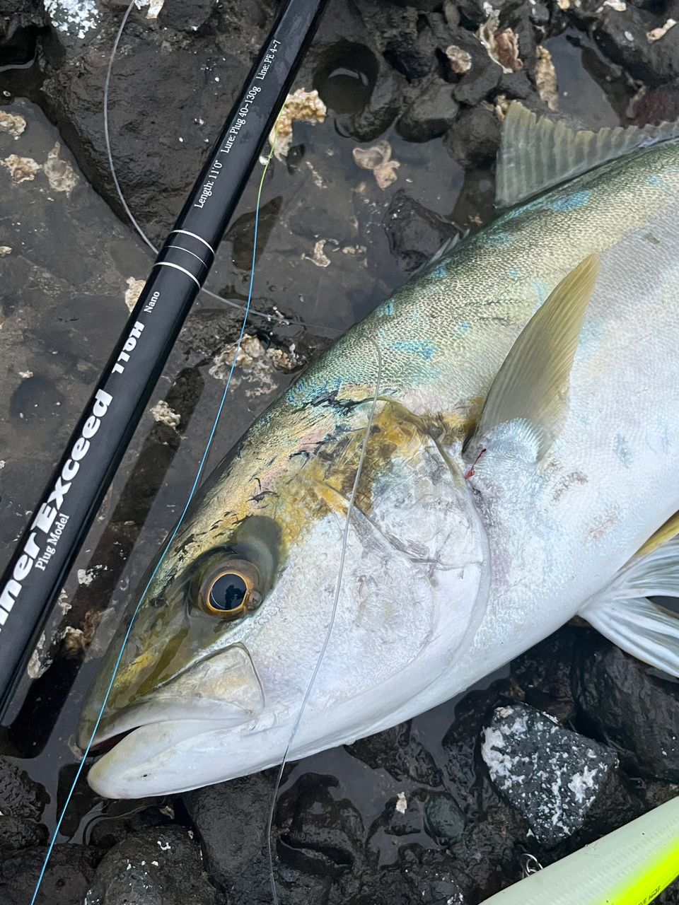 Ripple Fisher ランナーエクシード 110Hの最安値・インプレ・釣果