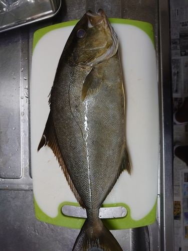 尾鷲湾