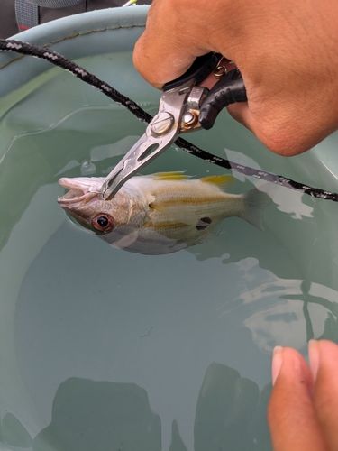 金武湾