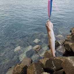 エソ