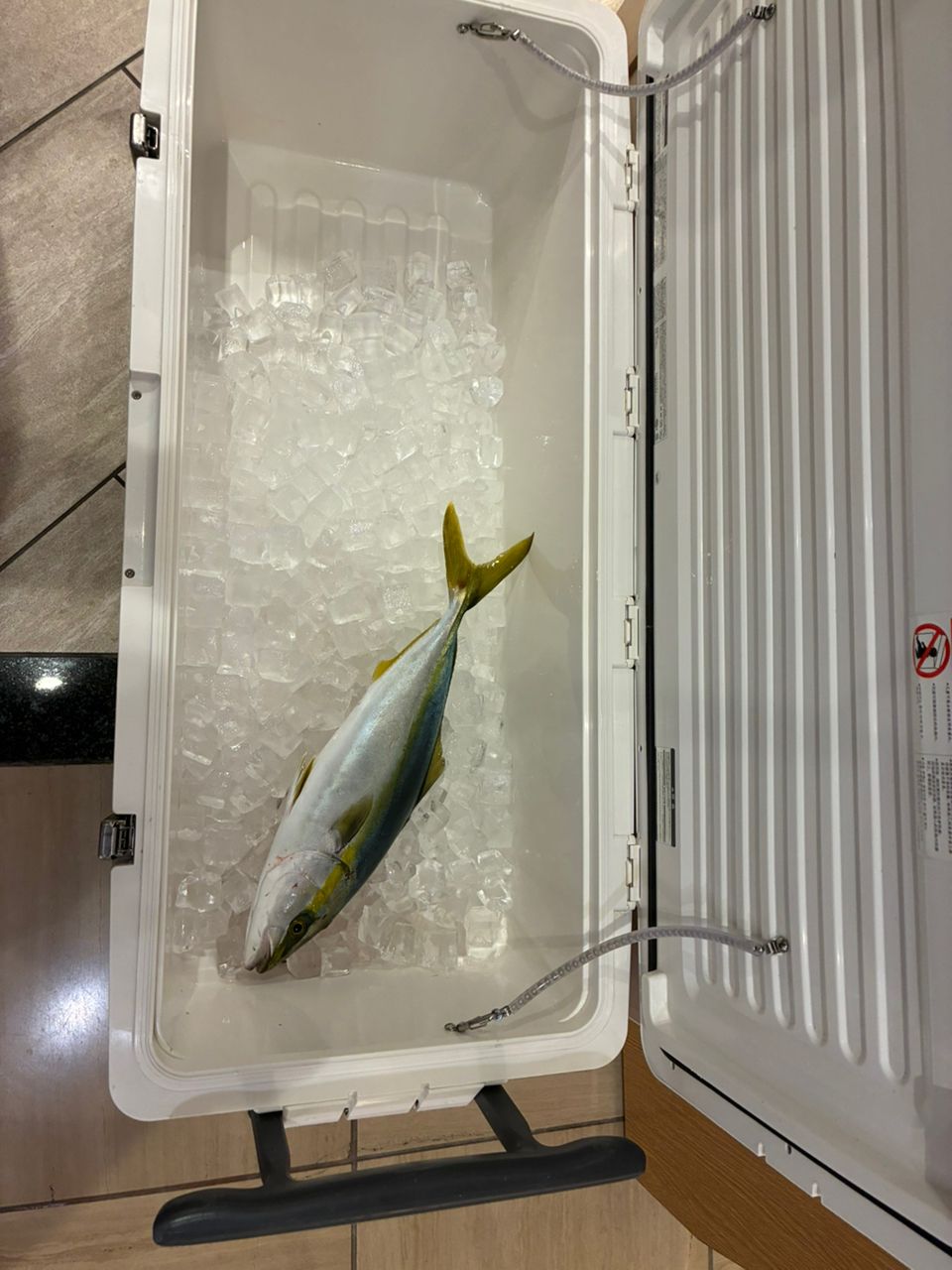 アジ