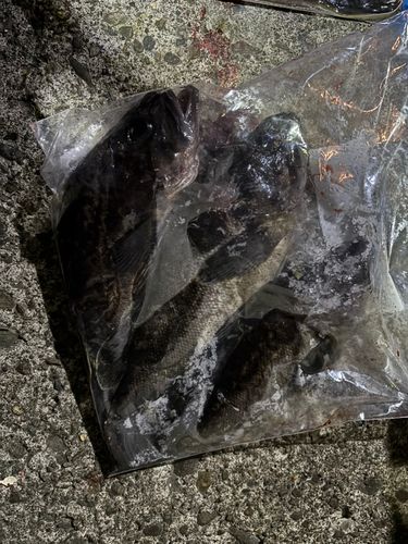 石狩湾新港