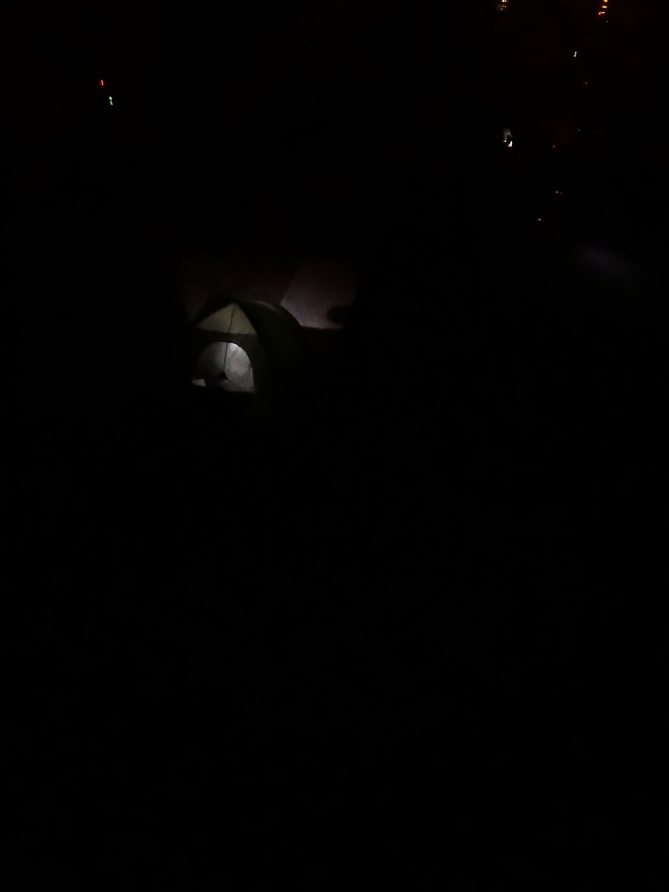 ダツ