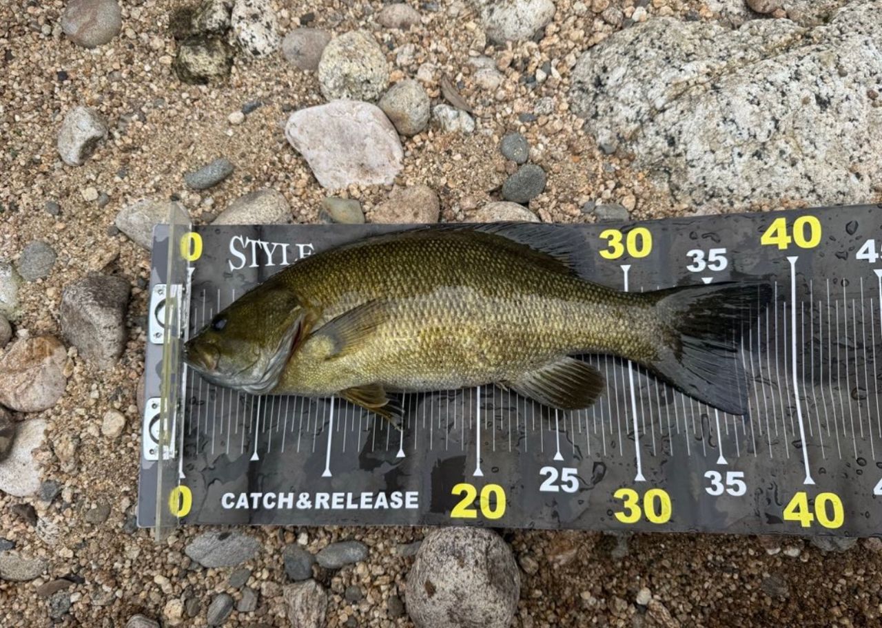 DAIWA 22ブラックレーベル トラベル C66ML-5の最安値・インプレ・釣果