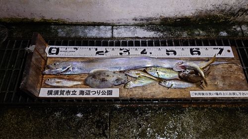 海辺つり公園