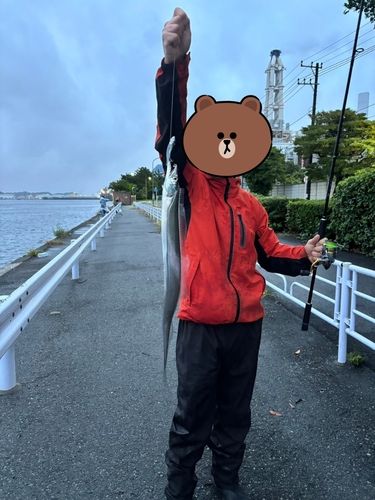 根岸湾