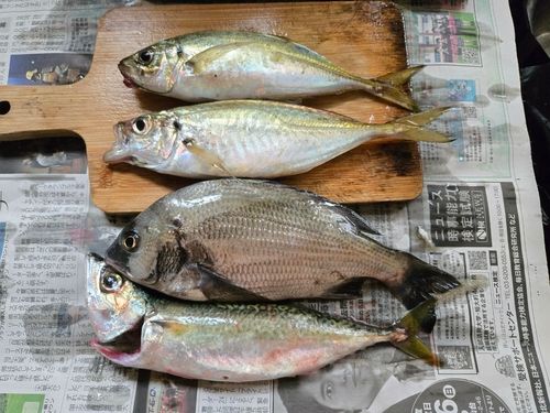 石巻湾