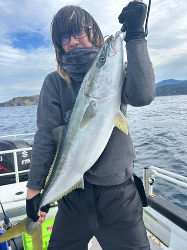 ブリの釣果