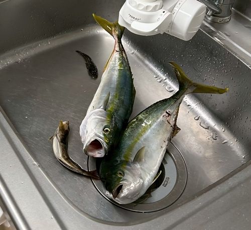 石狩湾新港