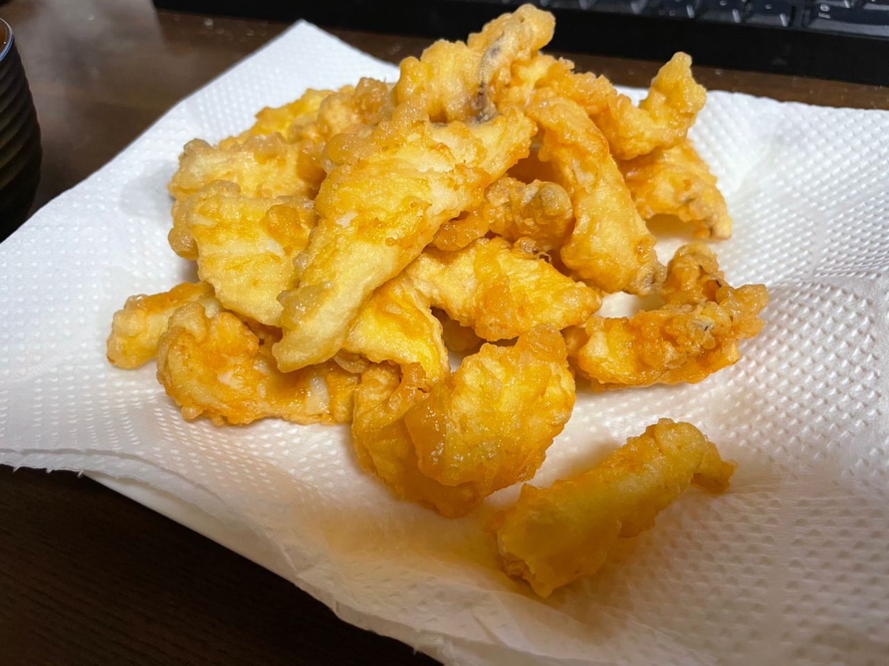 アオリイカ