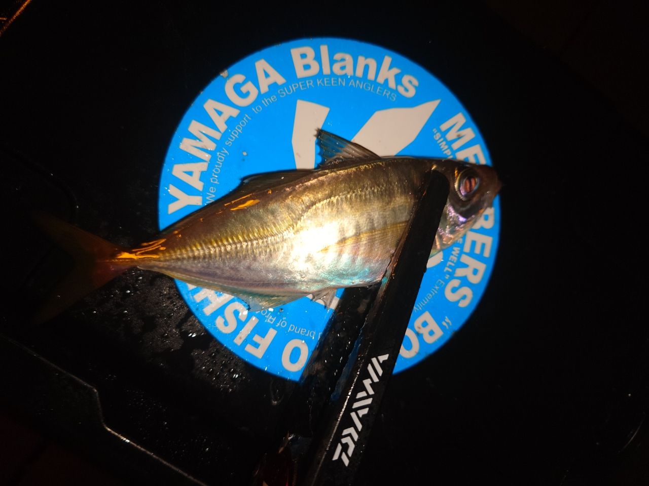 アジ