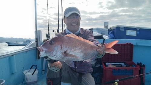 マダイの釣果
