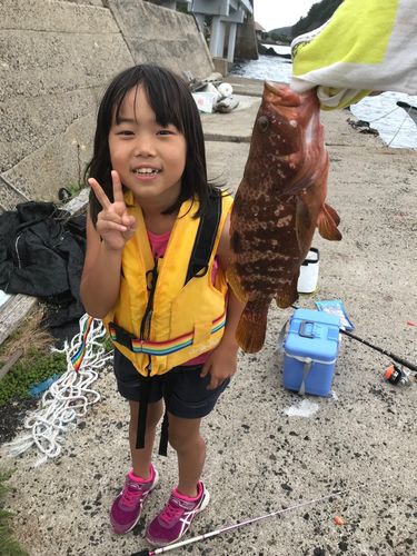 キジハタの釣果