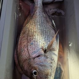 タイ