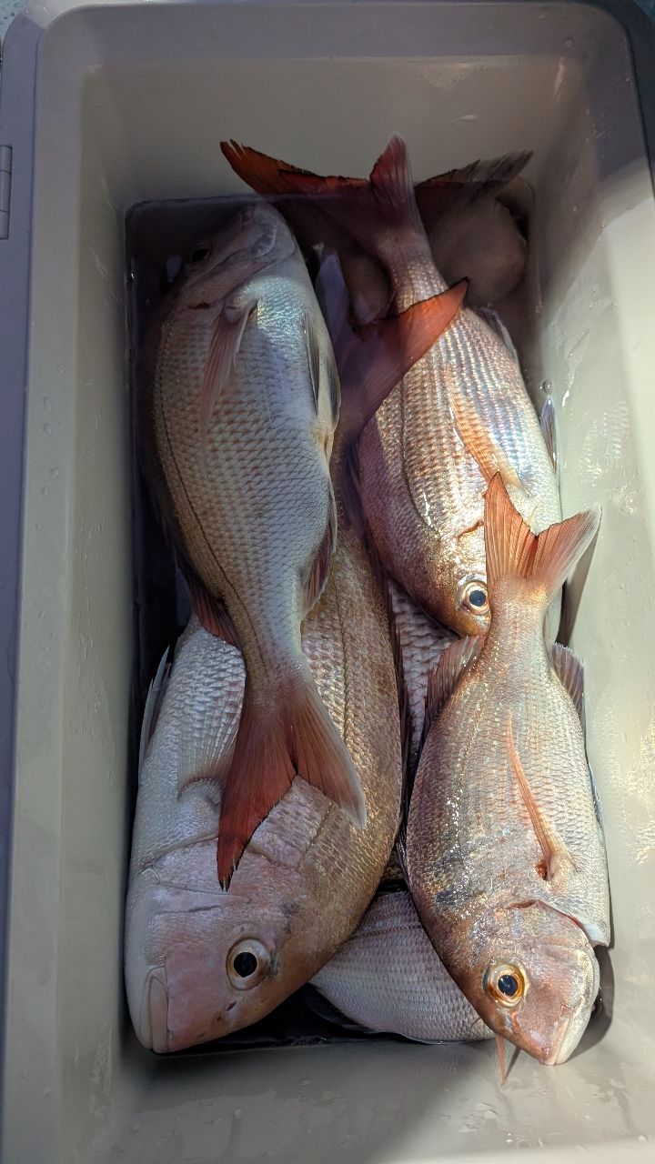 れこばさんの釣果 2枚目の画像