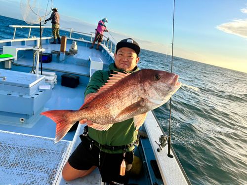 タイの釣果