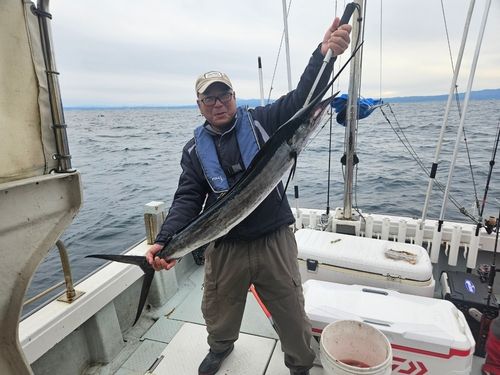 バショウカジキの釣果