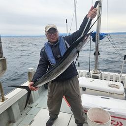 バショウカジキ