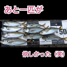アジ