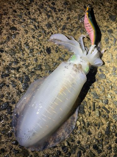 由良漁港