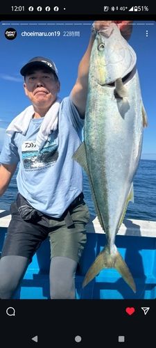 ワラサの釣果