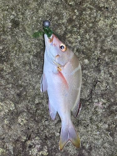 奥武島