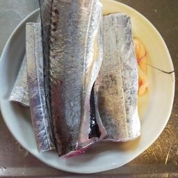 タチウオ