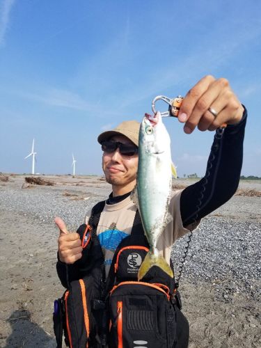 イナダの釣果