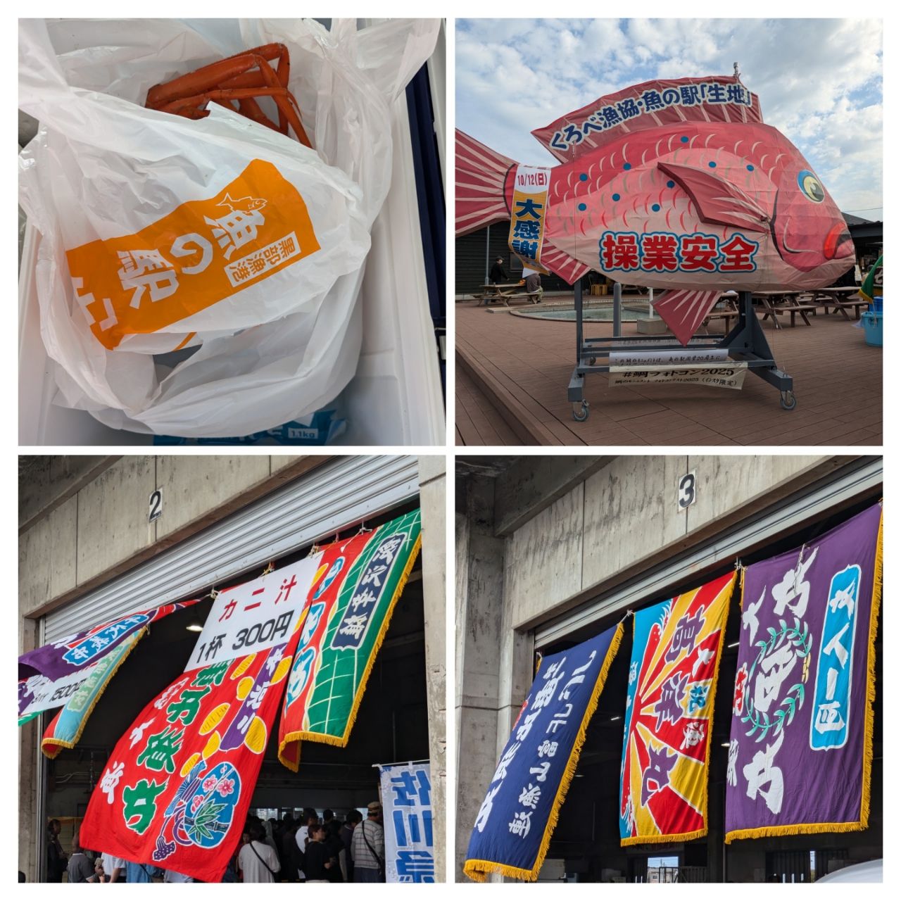フクラギ