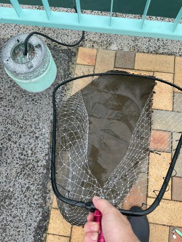 福間漁港海浜公園