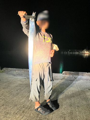 鹿児島湾北部