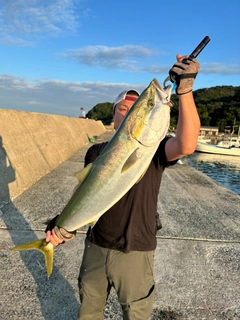 ブリの釣果