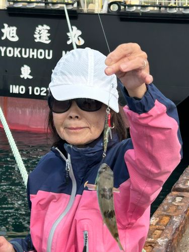 フグの釣果