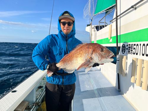 マダイの釣果