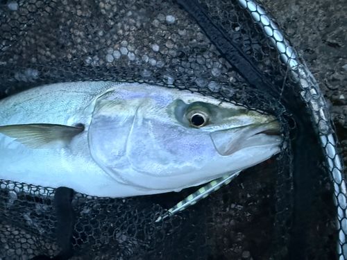 海辺つり公園