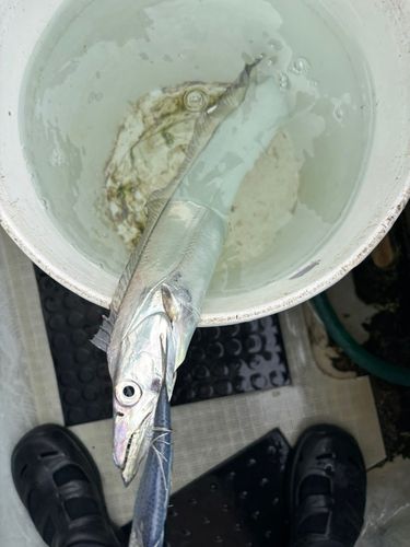 釣果