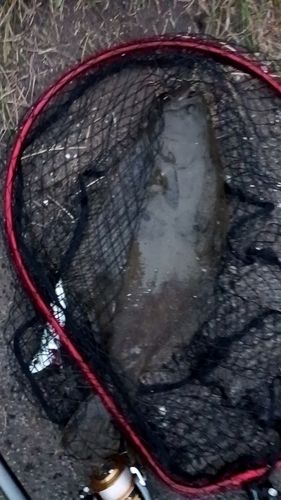石狩湾新港