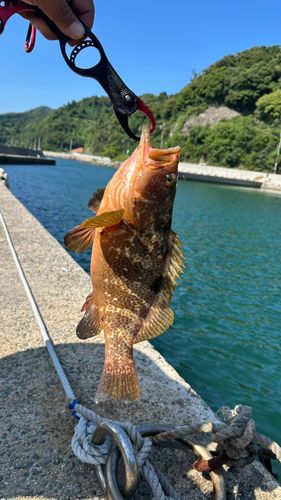 美保湾