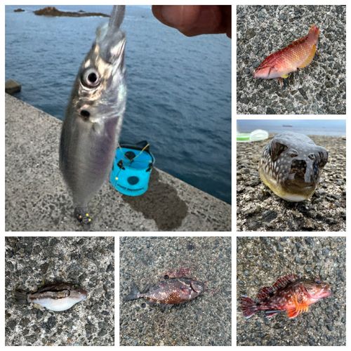 紀伊水道