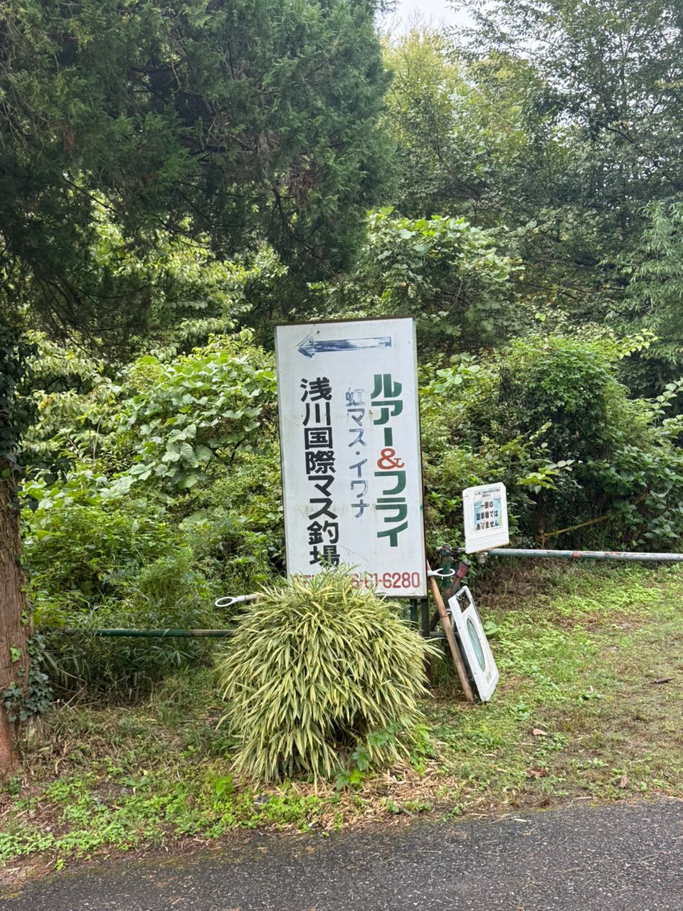 ニジマス